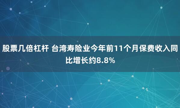 股票几倍杠杆 台湾寿险业今年前11个月保费收入同比增长约8.8%