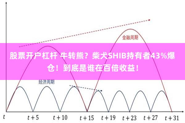 股票开户杠杆 牛转熊？柴犬SHIB持有者43%爆仓！到底是谁在百倍收益！