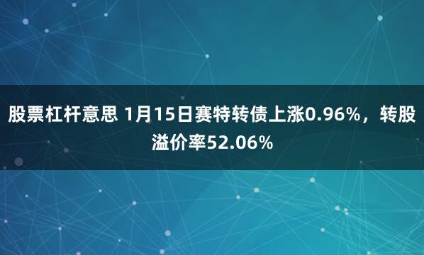 股票杠杆意思 1月15日赛特转债上涨0.96%，转股溢价率52.06%