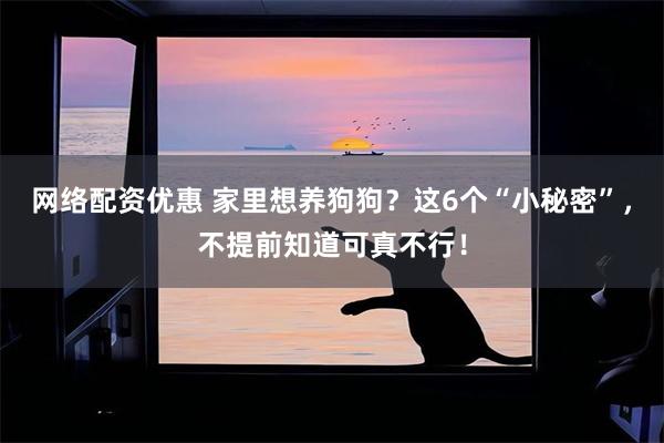 网络配资优惠 家里想养狗狗？这6个“小秘密”，不提前知道可真不行！