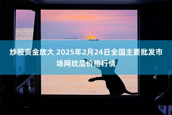 炒股资金放大 2025年2月24日全国主要批发市场网纹瓜价格行情