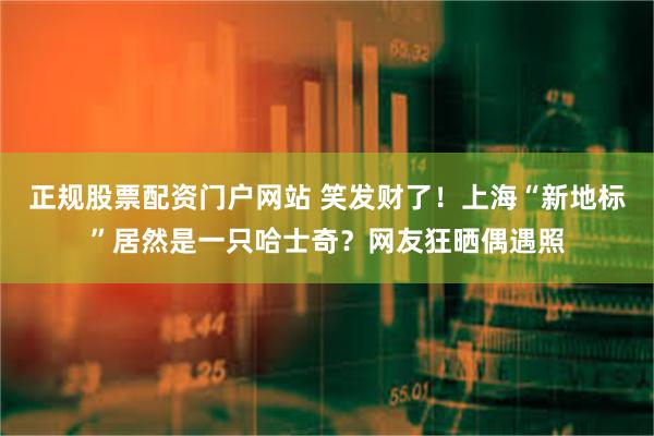 正规股票配资门户网站 笑发财了！上海“新地标”居然是一只哈士奇？网友狂晒偶遇照