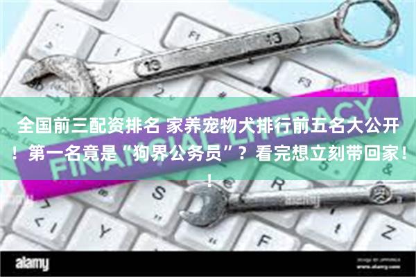 全国前三配资排名 家养宠物犬排行前五名大公开！第一名竟是“狗界公务员”？看完想立刻带回家！